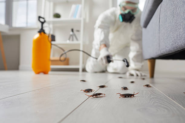 Commercial Kitchen Cockroach Control in Baxter